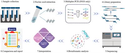 Application of metagenomic next-generation sequencing for rapid molecular identification in spinal infection diagnosis